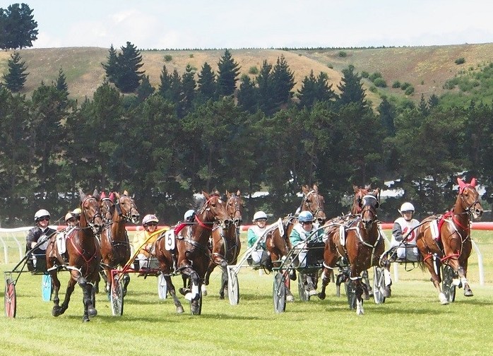 Stratford positive about runners for Wyndham