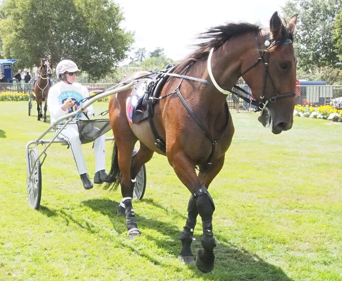 Fir win helps mark Gore celebrations