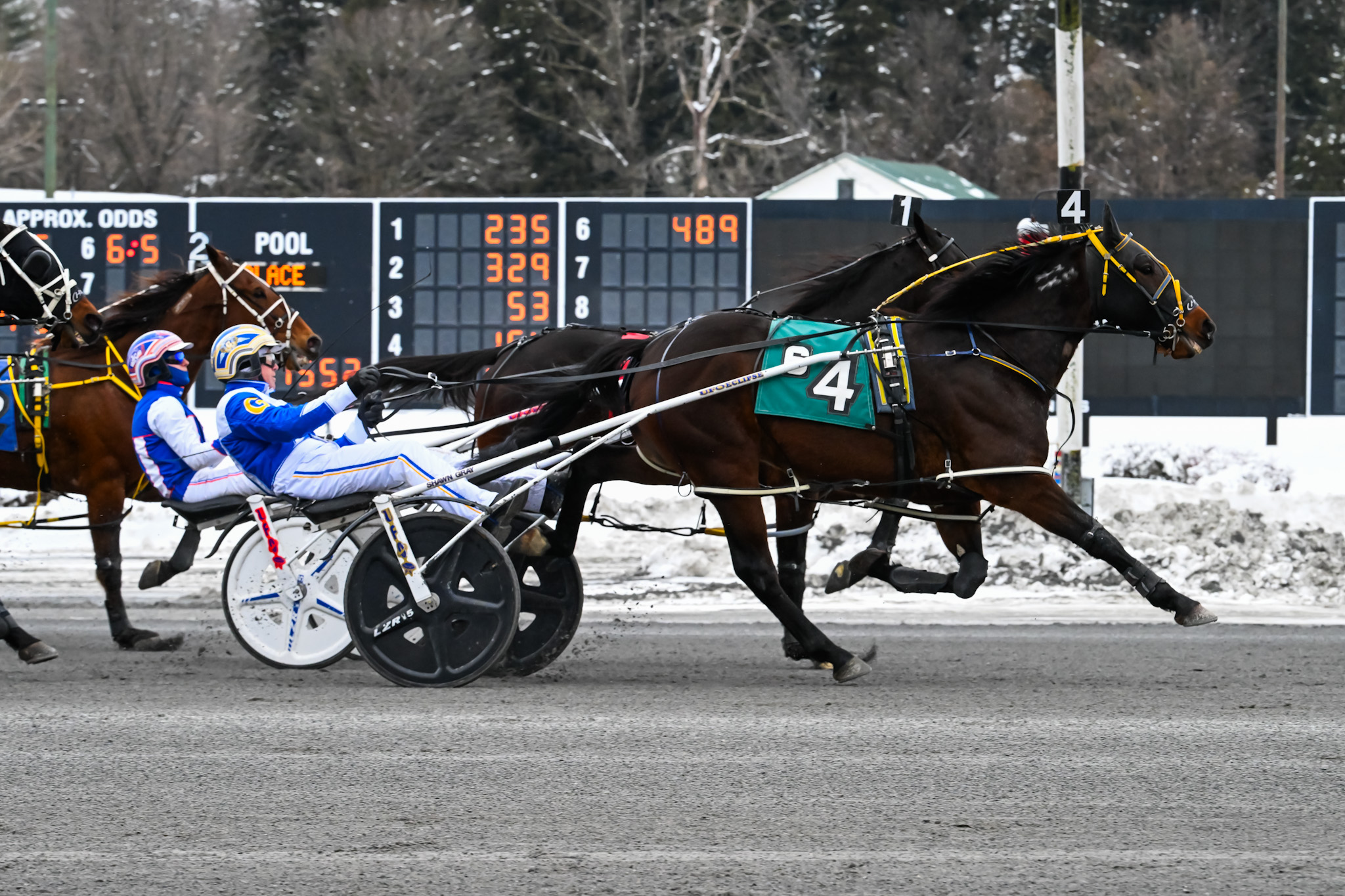 Feast or famine for Frisco Bay N