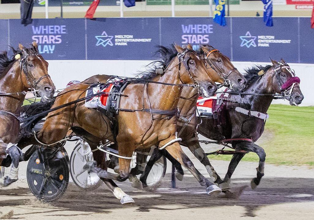 Hunter Cup draw to shape one of the great fields in years