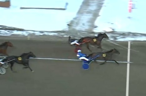 High On Pepper takes STL Gold