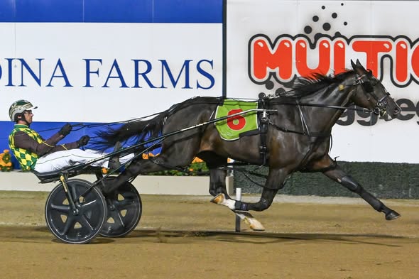 Hollywood Strip burns off his rivals in Simpson Sprint