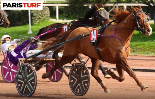 Indus Val, Manhattan Emge Win at Cagnes