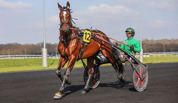 French import sidesteps Great Southern Star