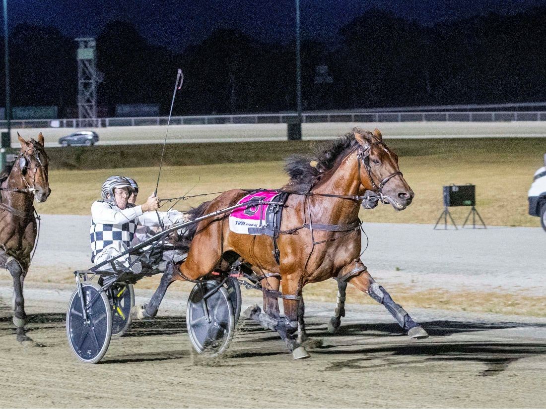 Leap To Fame in yet another stirring Cup success