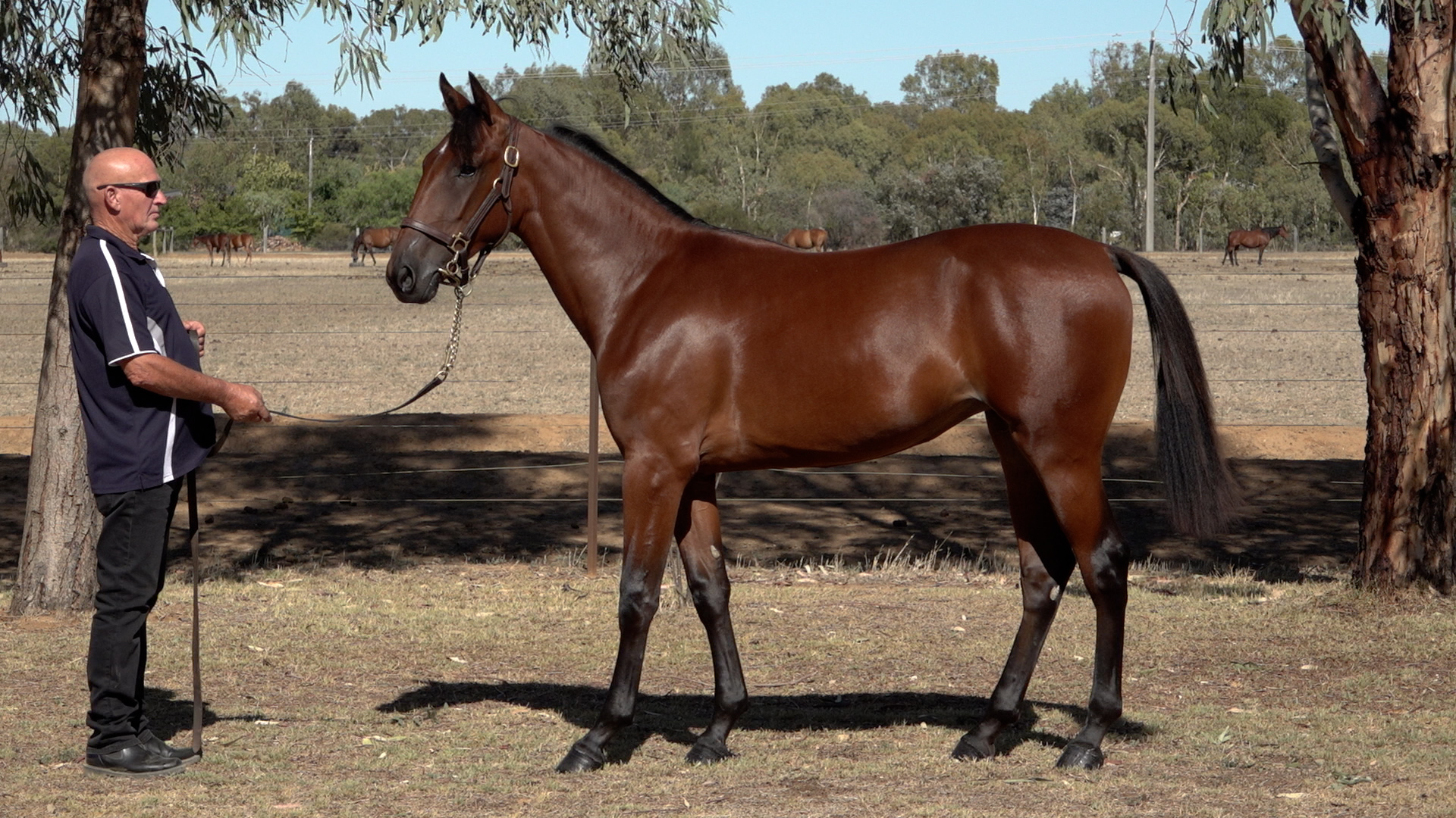 Teela Park provides pathway to success