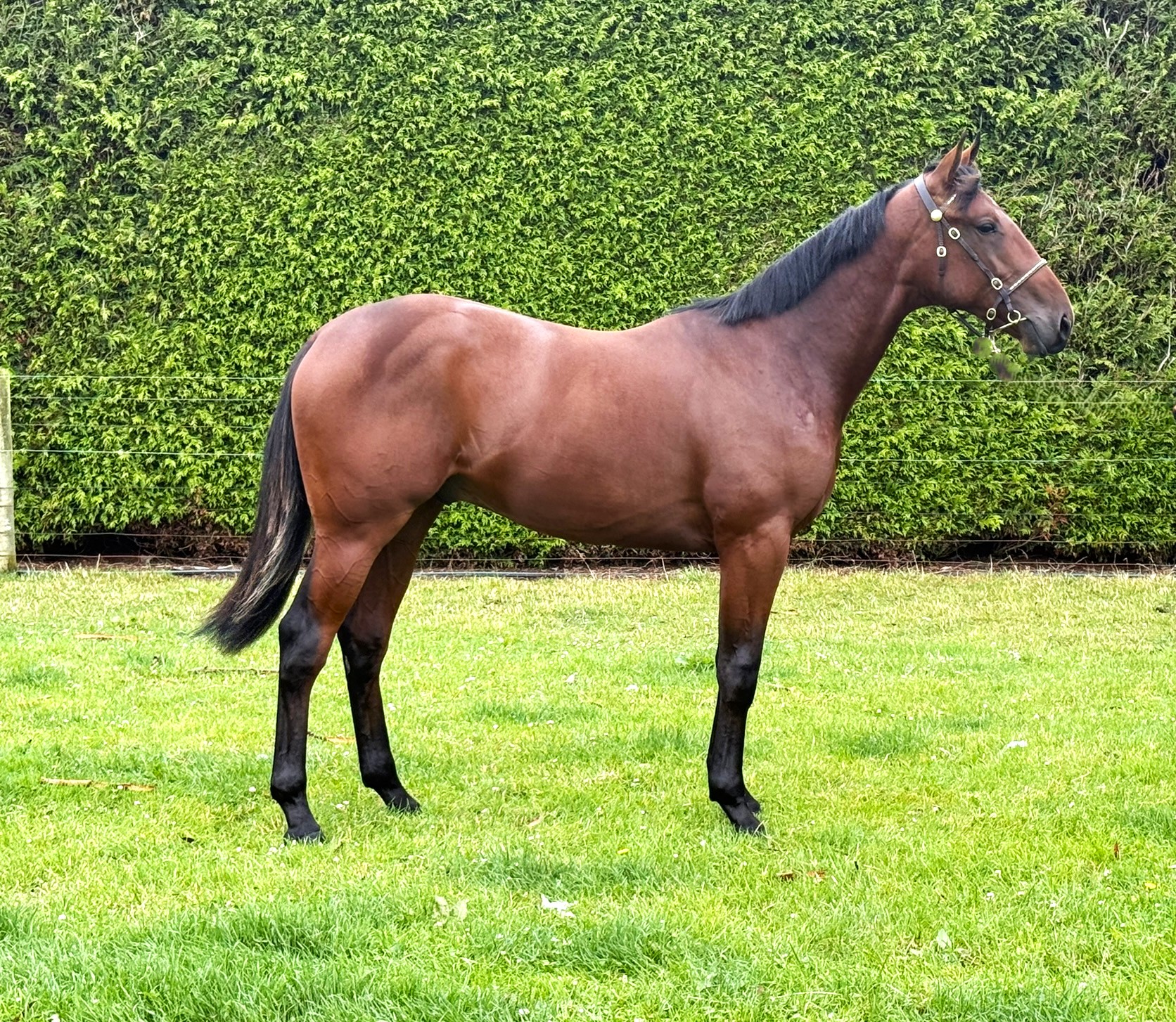 SBSR has quality entries