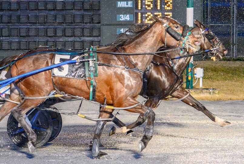 Muskateer Hanover fires his best shot
