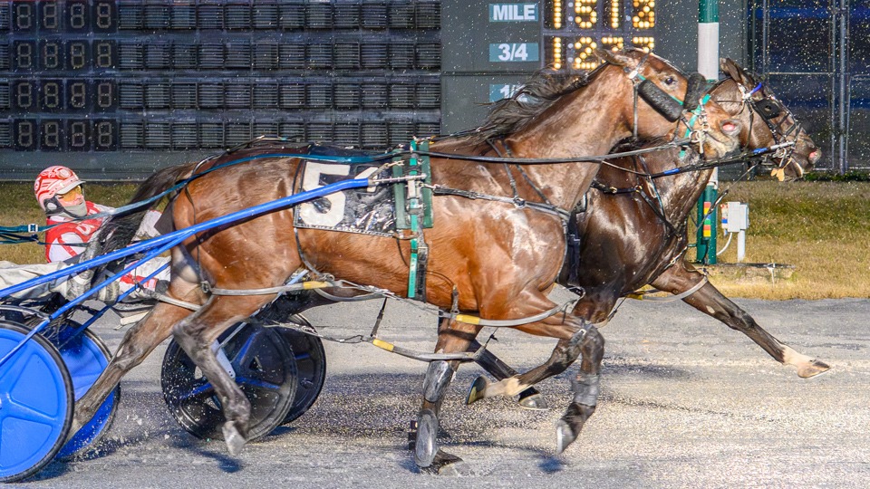 Muskateer Hanover (inside) wired the field at Bally’s Dover on Thursday night. Quenton Egan Photography