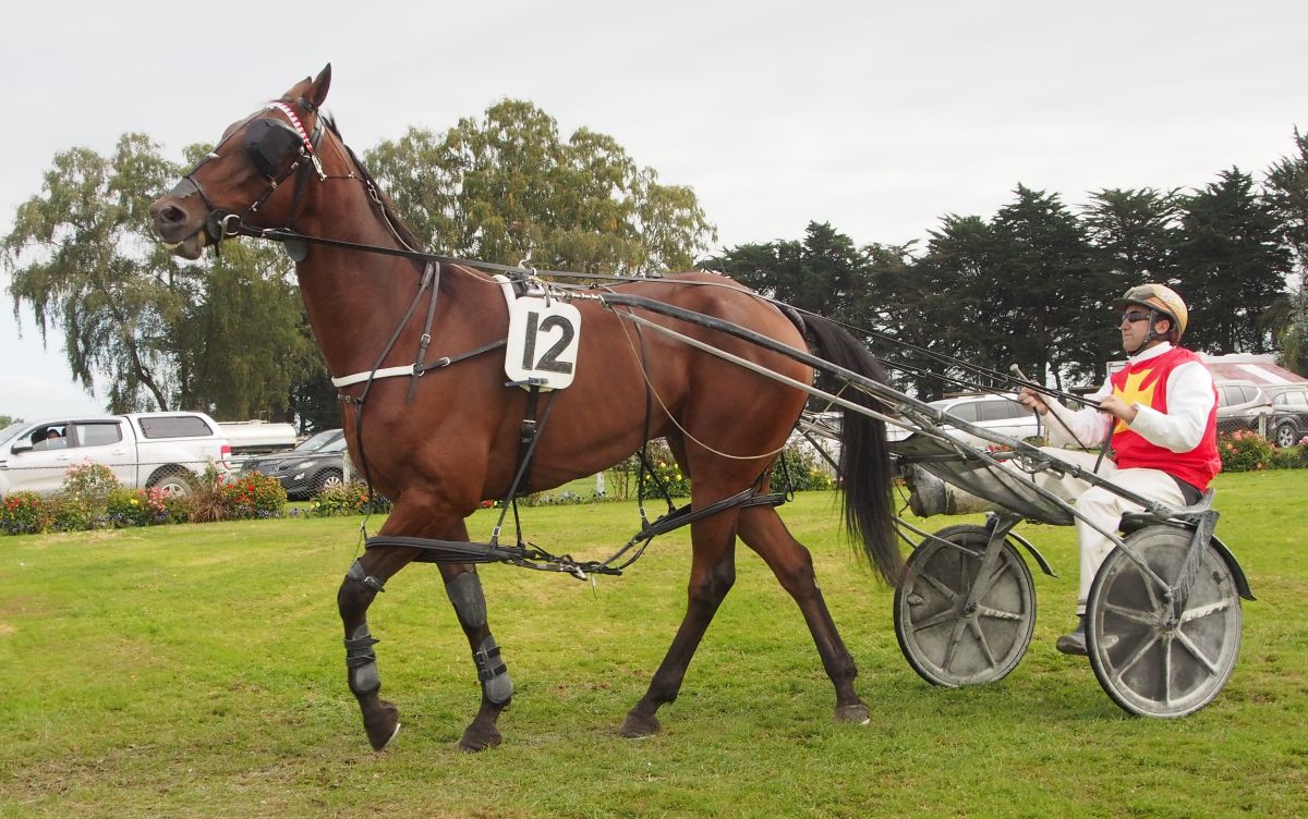 Aviator lands honeymoon win