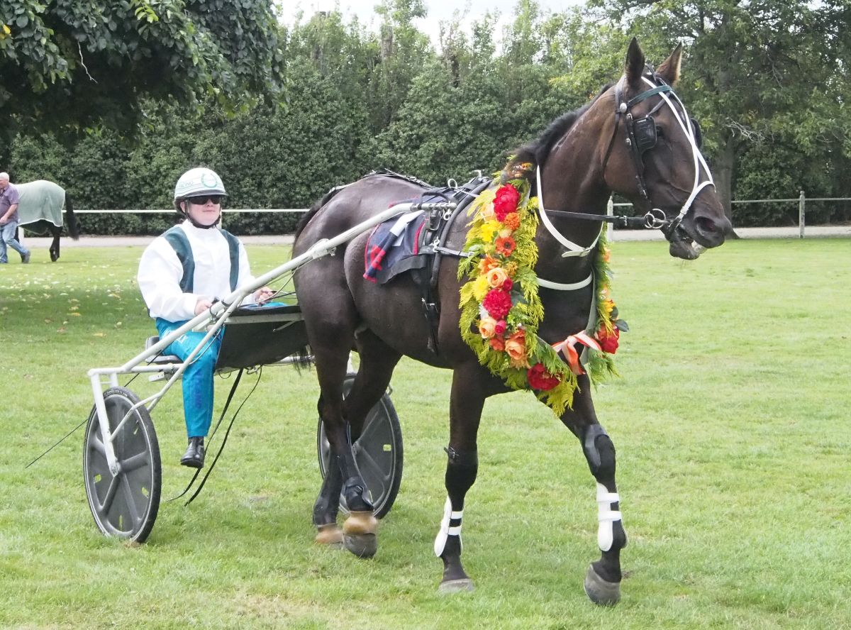 Rich vein of form continues for Moses