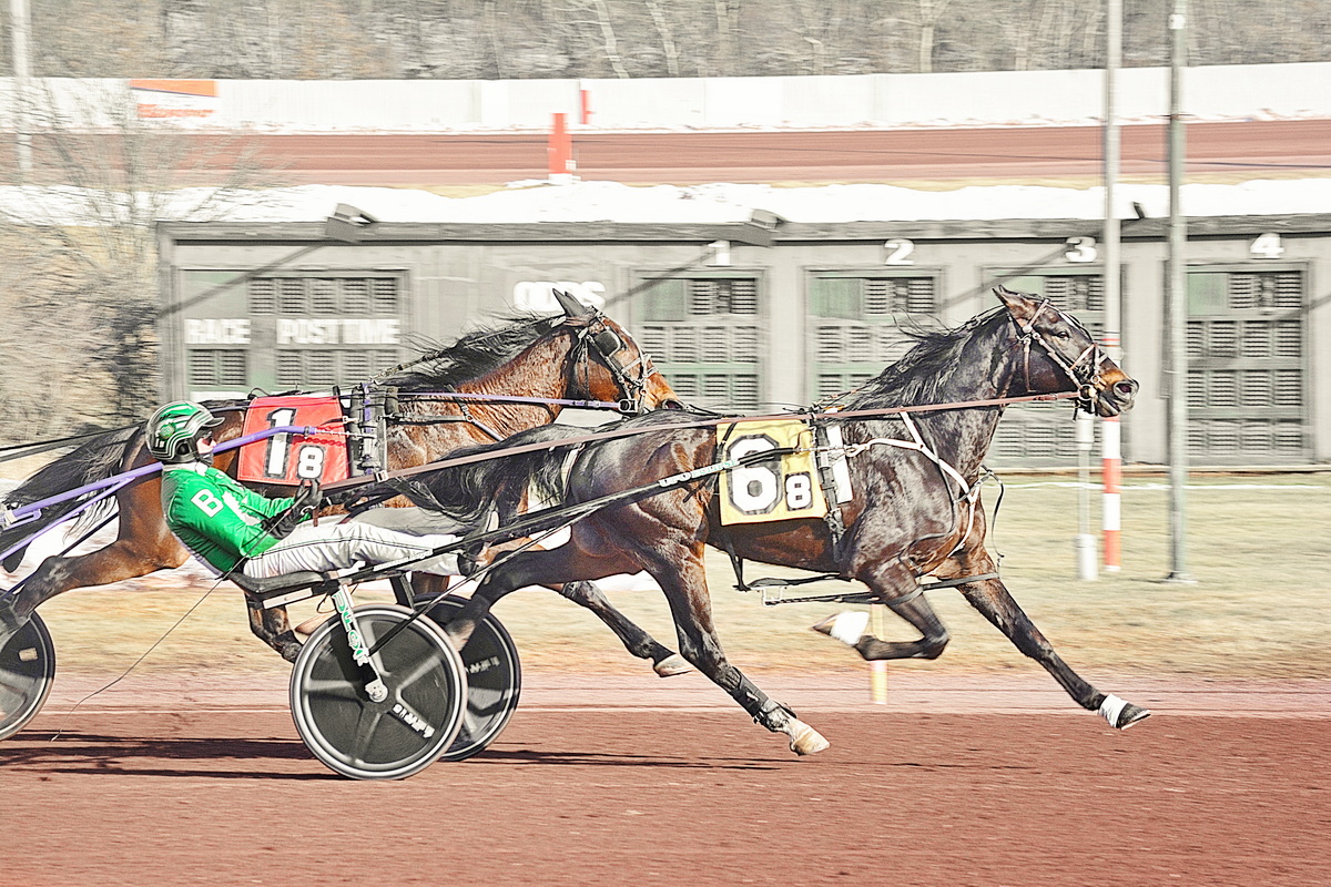 Mr Pasadena captures feature Trot