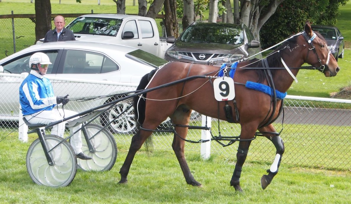 Pinseeker Bruce Stewart