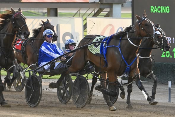 Pinseeker’s brave Free for All success