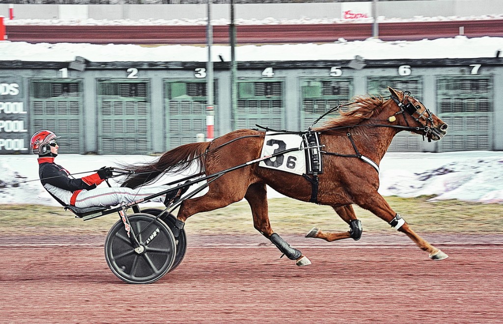 Bartlett, Beckwith and Napolitano star on strong opening card