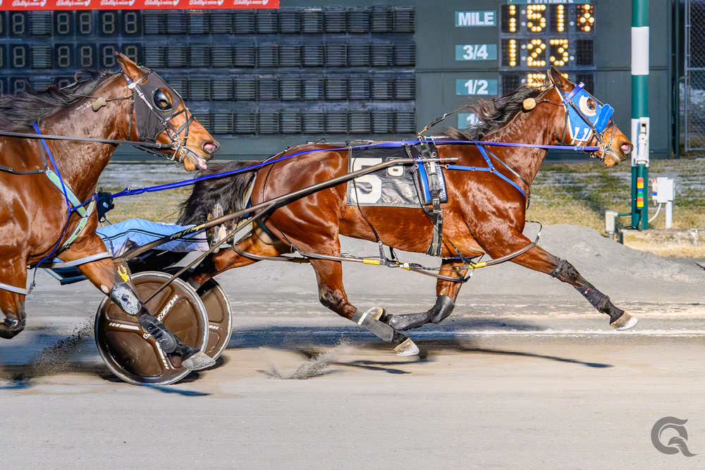 Morgan sends Square Deal all the way