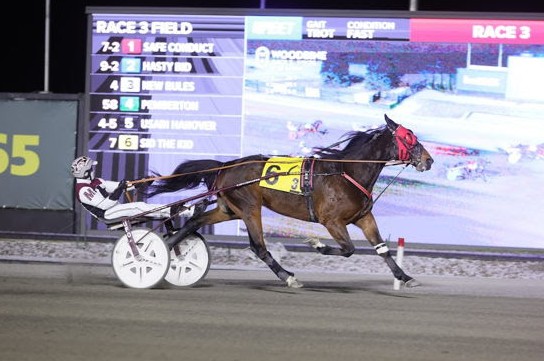 Sid the Kid goes for Open gold