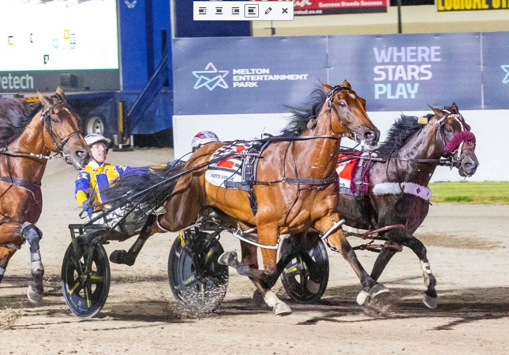 Swayzee upsets Leap To Fame in repeat Hunter Cup win