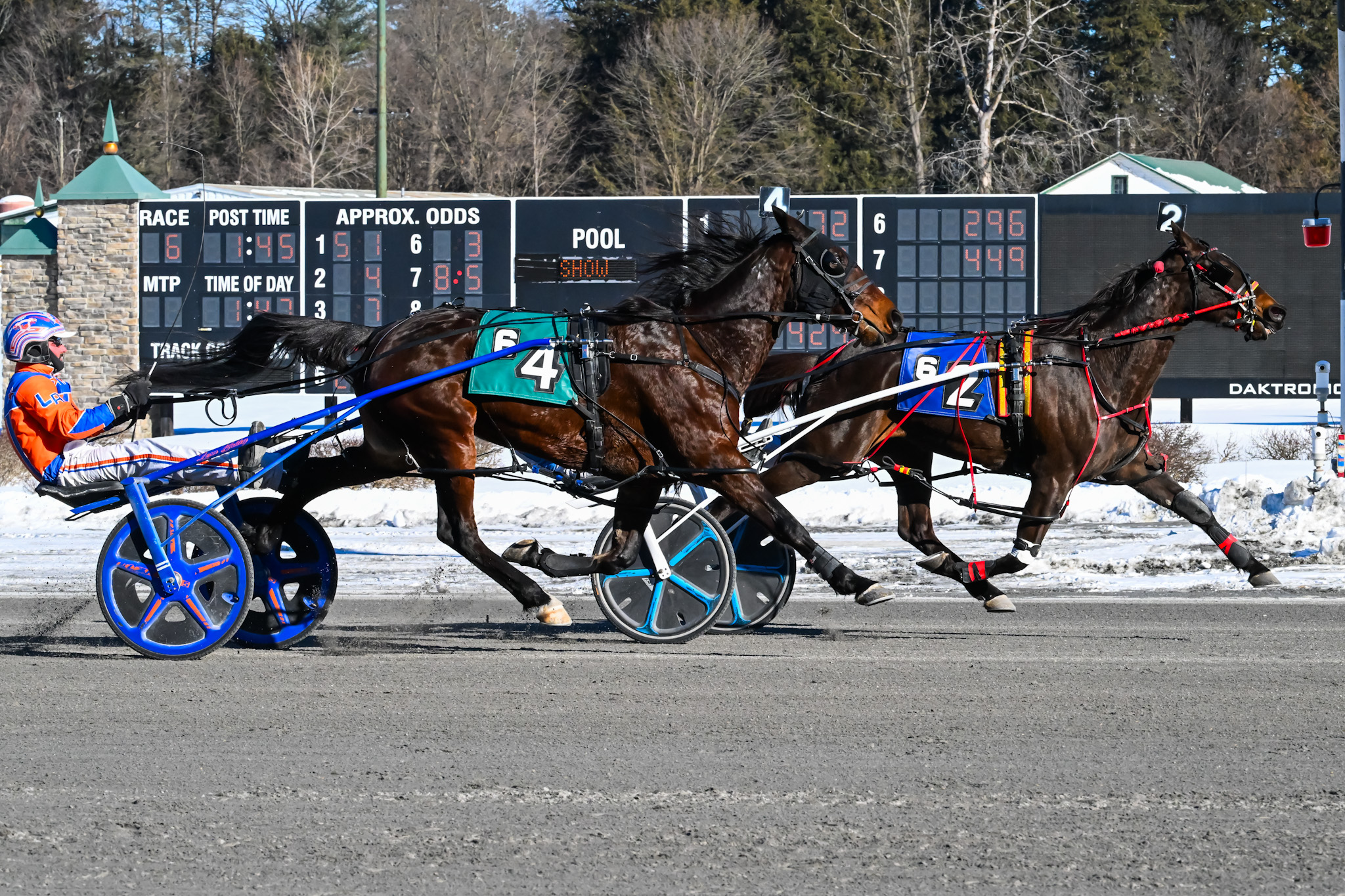 Twist Little Girl N returns victorious