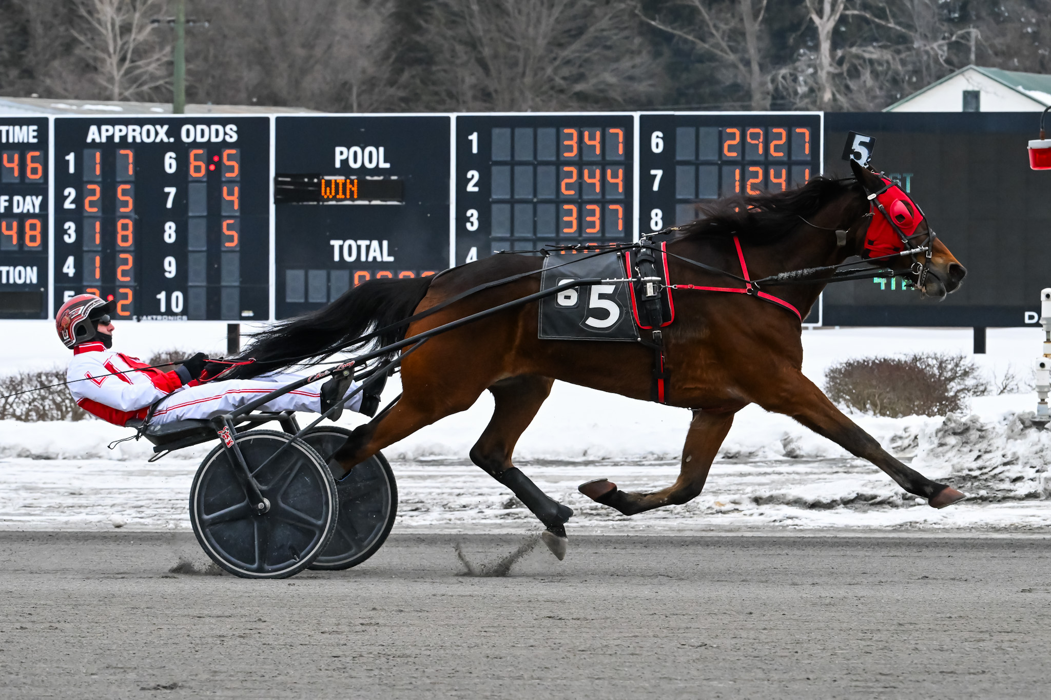 Up Helly Aa reaches $300,000 milestone