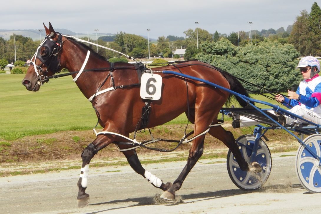 Wag Star gets chance to return to winning form