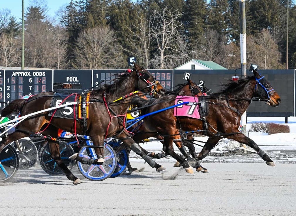 Ex Kiwi mare upsets at Saratoga