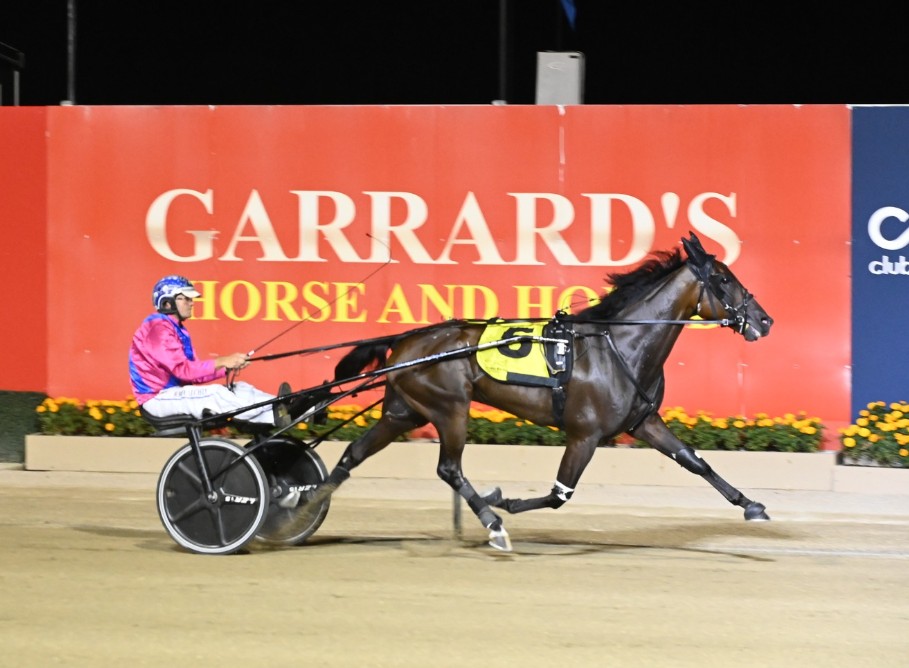 Watts Up Partytime back on track for GSS defence