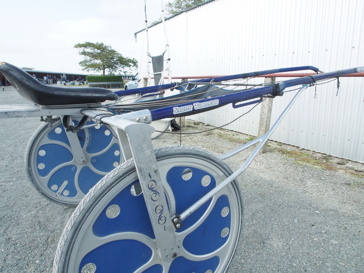 Always Dreaming beats, a brave Wag Star in Cup