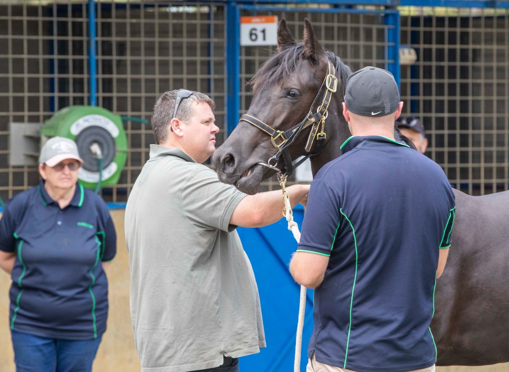 Opportunity knocks – APG Melbourne to deliver again in 2026