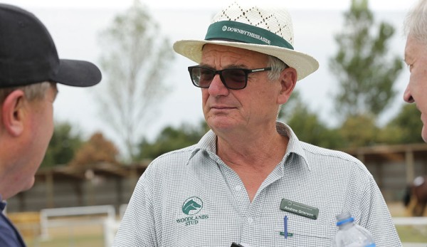Woodlands has a big presence at NZB Standardbred National Yearling sales