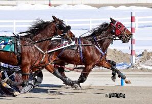 Joelsyy Hanover gets photo finish decision