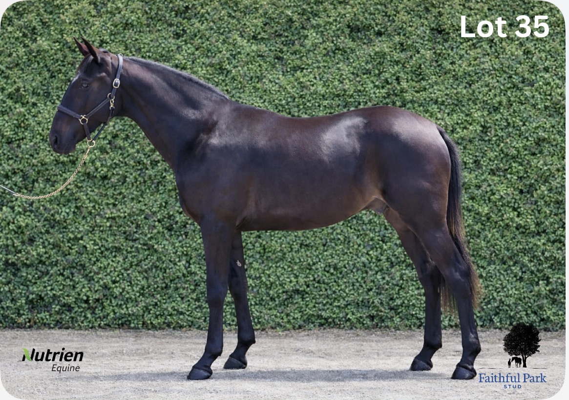 Richard Hall presents four-strong draft for Quercus Park