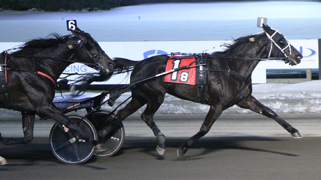 High Speed Swan and driver Colin Kelly won the Friday night feature at The Meadowlands. (Credit: Lisa Photo)