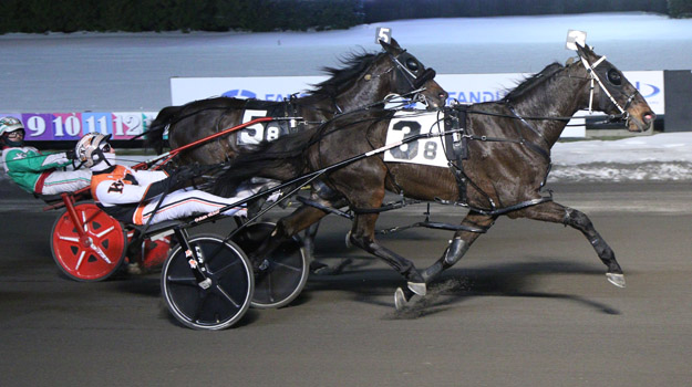 Superb steer sees Soho Santorini A in the winners circle