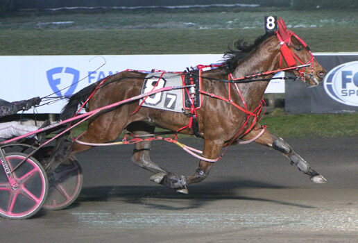 Ex-Kiwi mare wins “battle of the foreign breds”