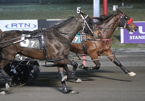 ‘Yankee’ goes Stellar trip at Big M