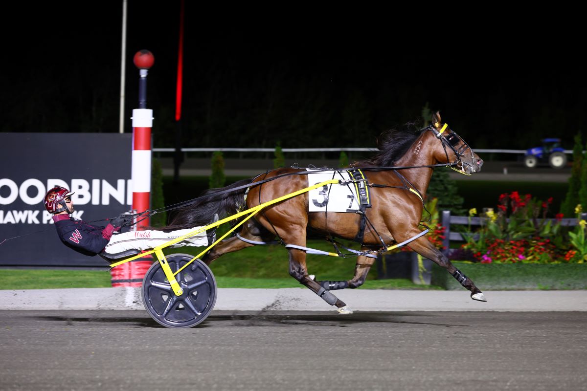 Hambletonian Society/Breeders Crown poll shake up sees Loua Dipa go No. 1