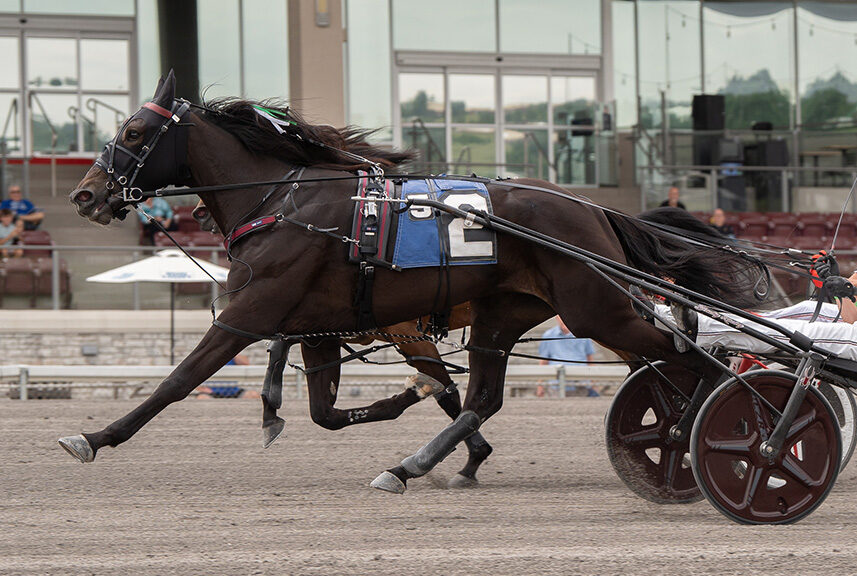 Beachy hopes Moni Maker Stakes is an Oaks springboard
