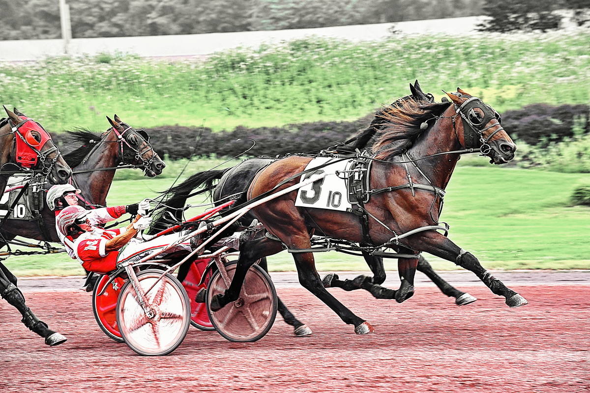 Favorites and front-enders struggle on off track