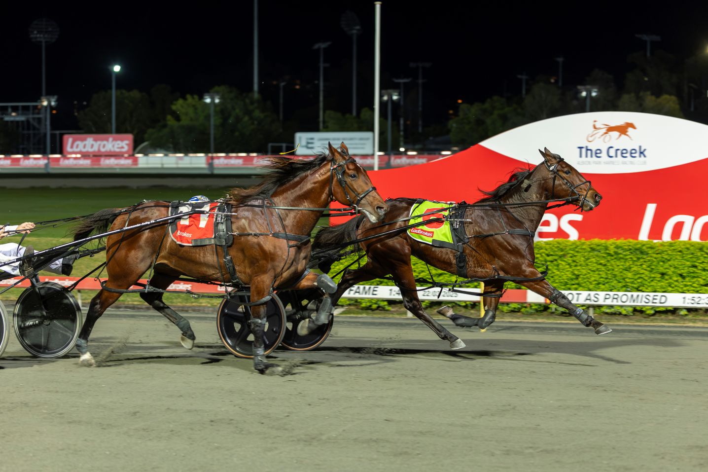 Captains Mistress triumphs over Leap to Fame in epic Inter Dominion Final