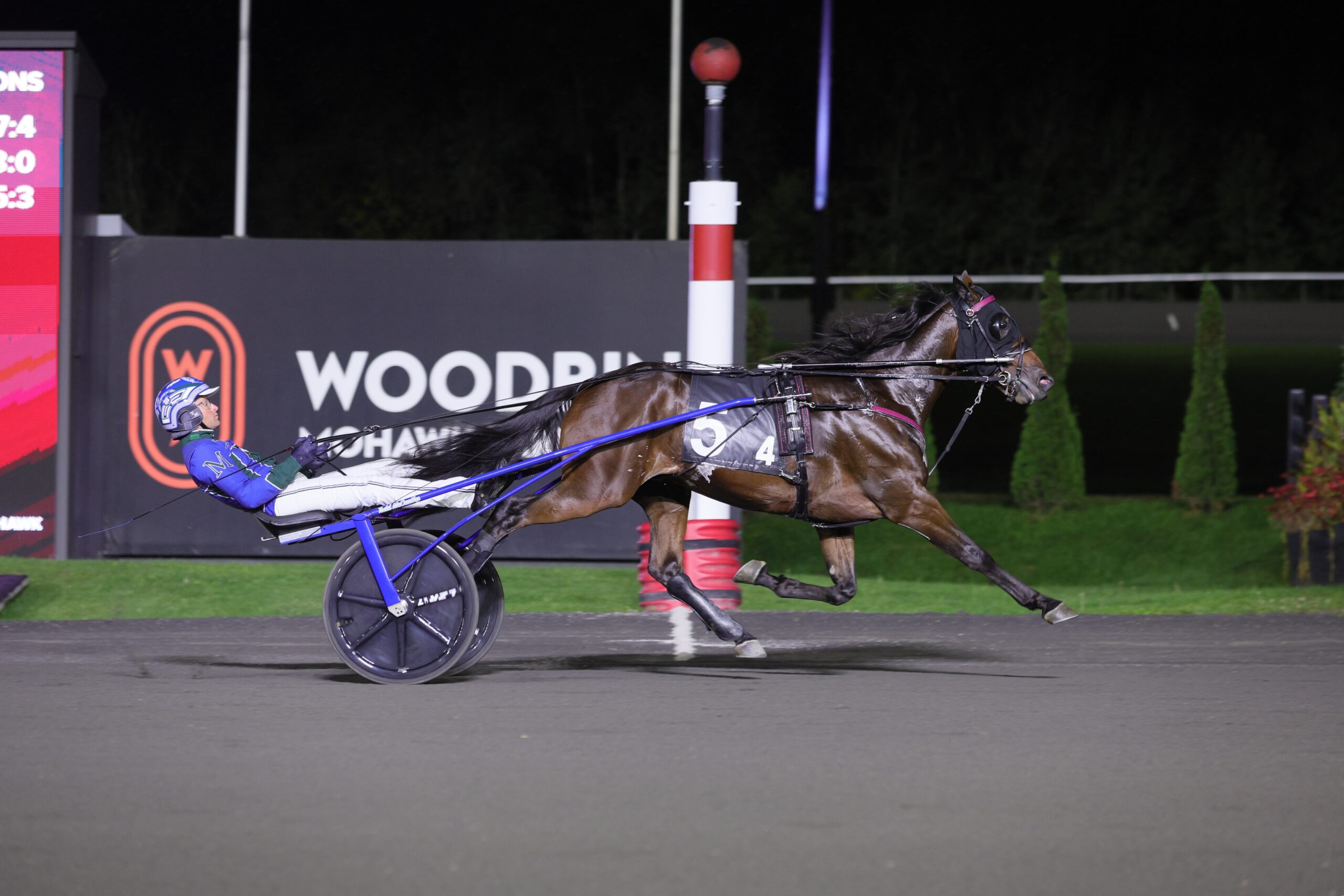 Diabolic Hill takes next step towards Hambletonian